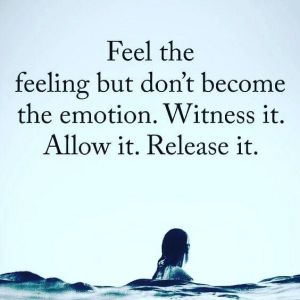 23499ce6744a0d3c0194898adac4ea21